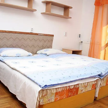 Professor'S Guest House *