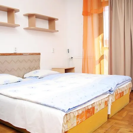 Apartment Professor'S Guest House *