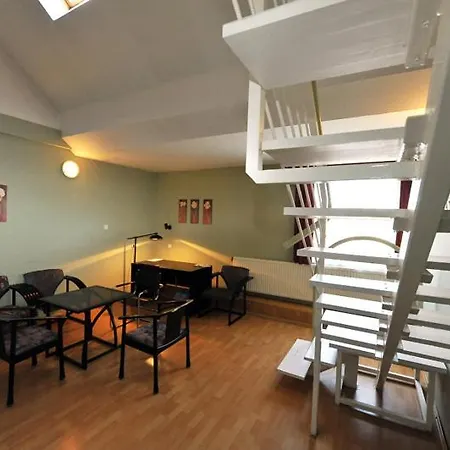 Professor'S Guest House *